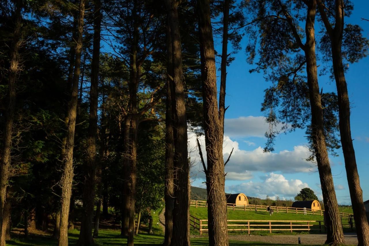 Дома для отпуска Luxury two-bed Glamping Pod in County Clare Scottʼs Bridge