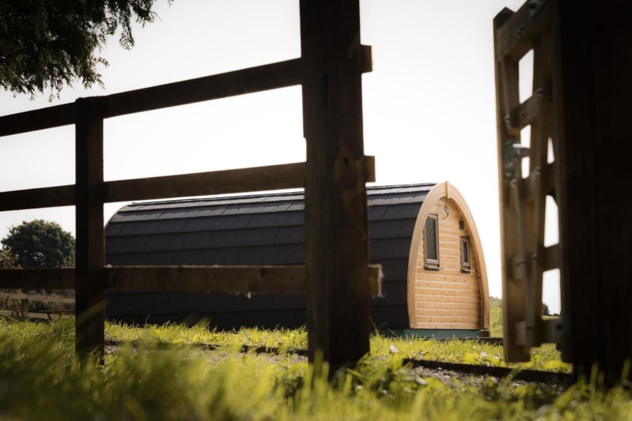 Дома для отпуска Luxury two-bed Glamping Pod in County Clare Scottʼs Bridge-19