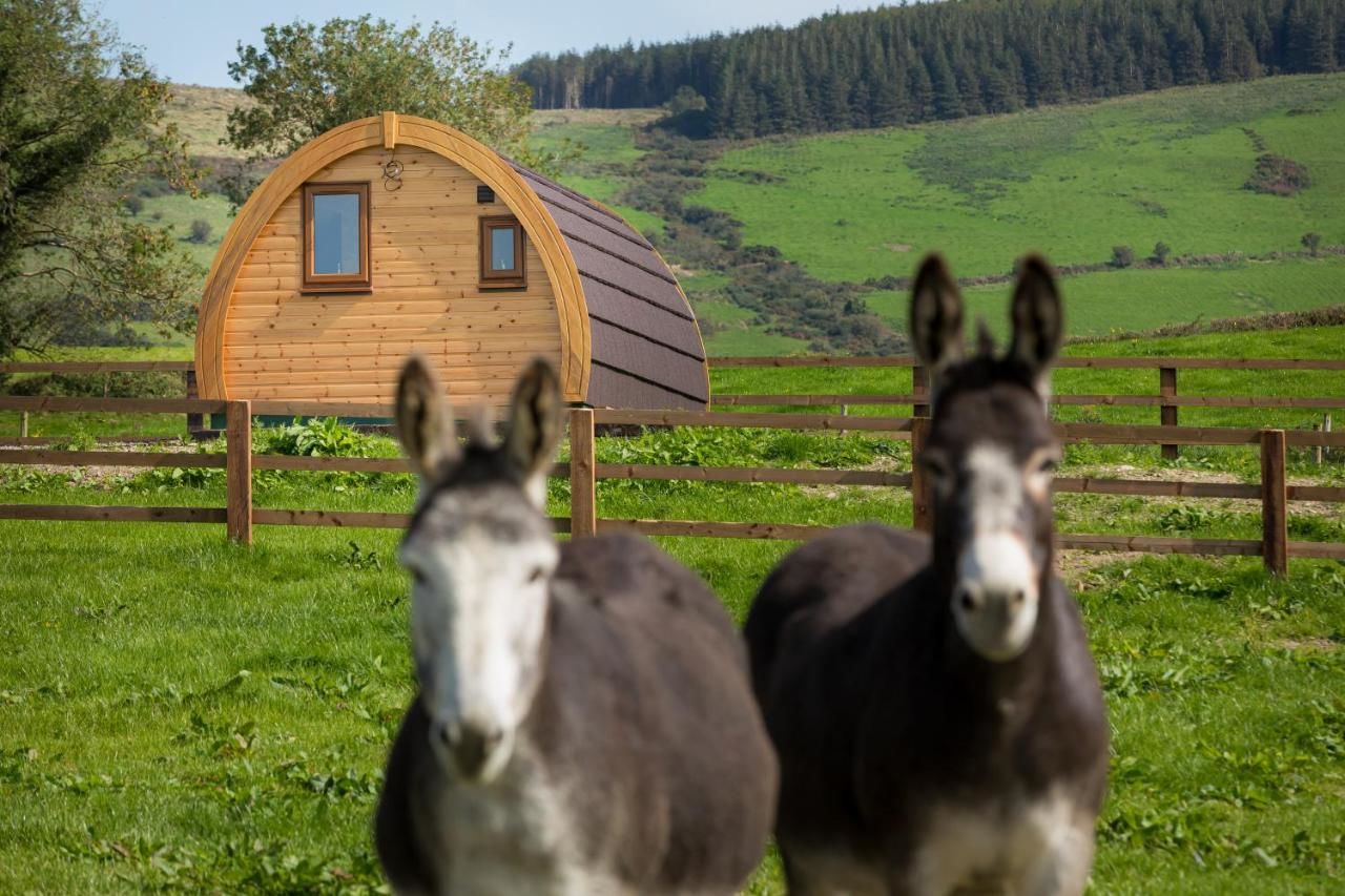 Дома для отпуска Luxury two-bed Glamping Pod in County Clare Scottʼs Bridge-5